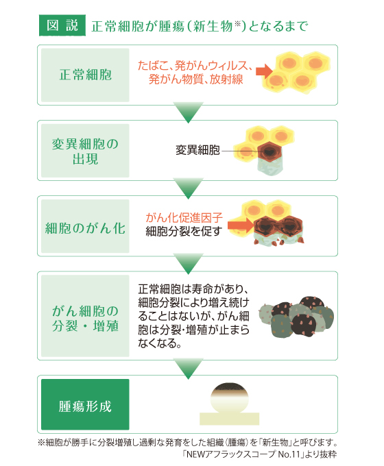 正常細胞が腫瘍となるまで