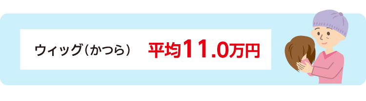 ウィッグ（かつら） 平均11.0万円