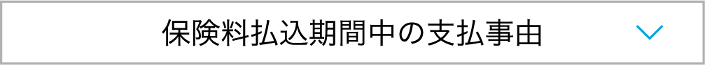 保険料払込期間中の支払事由