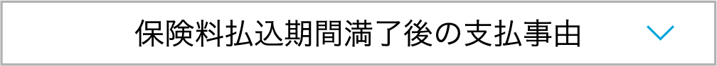 保険料払込期間満了後の支払事由