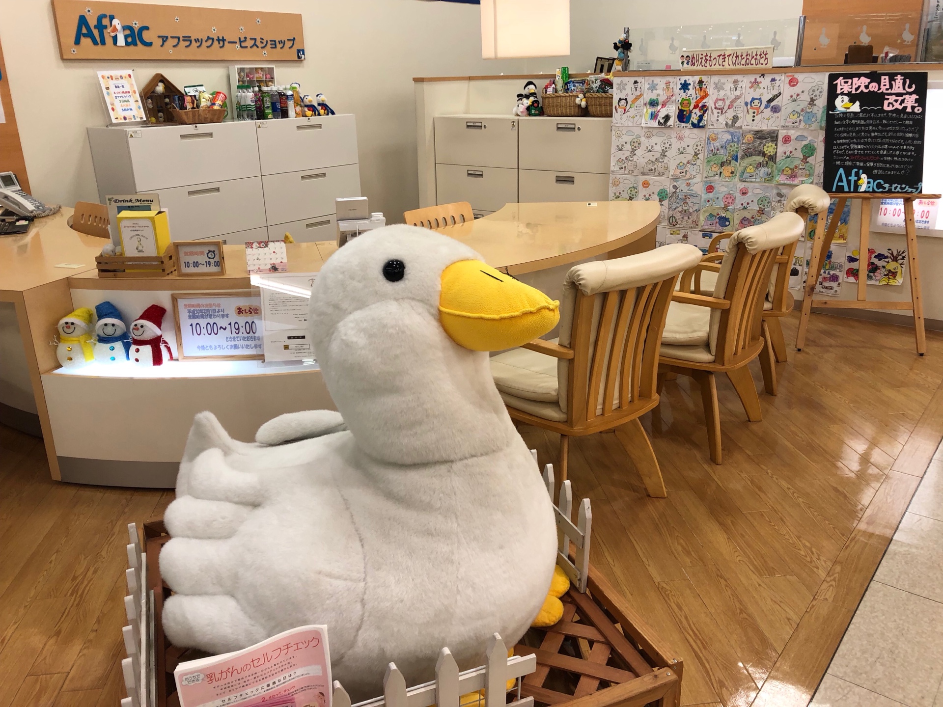 店内・スタッフの紹介01