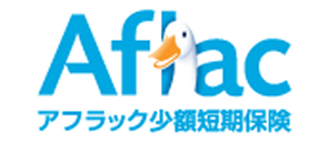 Aflac アフラック少額短期保険 アフラック少額短期保険（ミニ保険）の商品一覧