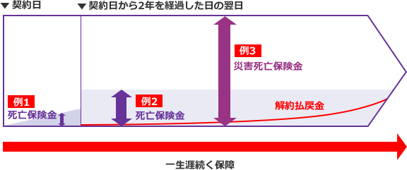 契約日 例1 死亡保険金 契約日から2年を経過した日の翌日 例2 死亡保険金 例3 災害死亡保険金 解約払戻金 一生涯続く保障