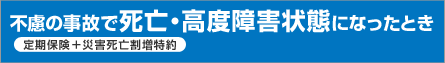 不慮の事故で死亡・高度障害状態になったとき(定期保険＋災害死亡割増特約)
